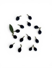 15 PCS Seeds Laurus Nobilis Bay LaurelSweet-Bay Bayleaf