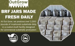 BRF Jars Brown Rice Flour Mushroom Substrate (6 Pack)