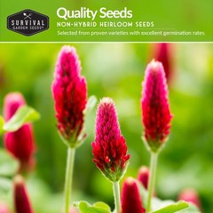 Clover Seed Collection for Planting – 2 Packets of Crimson & Dutch green