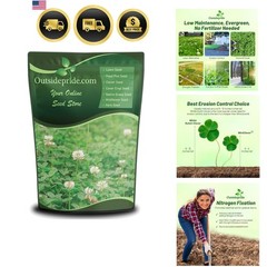 Perennial White Dutch Clover Seed – 2 lbs. Nitrocoated, Inoculated Clover See…