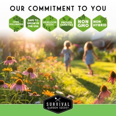 Clover Seed Collection for Planting – 2 Packets of Crimson & Dutch green