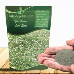 10 LBS – Inoculated White Dutch Clover Seeds For Planting, Lawns,