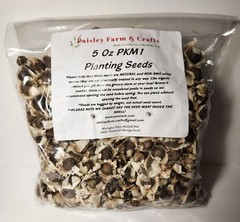 Moringa Oleifera PKM1 Seeds – US Customs Cleared – All Natural!