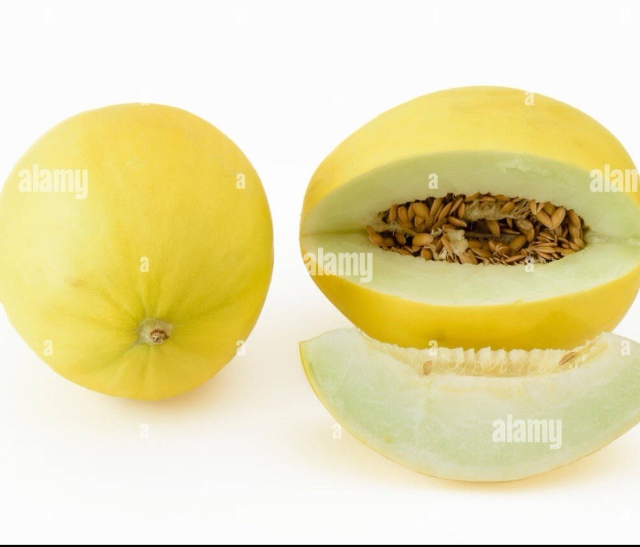 30 golden honeydew Melon Seeds