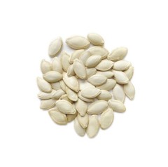 Seeds (30 or 80) Mexican Grey Squash Calabacita Cucurbita pepo