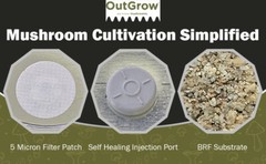 BRF Jars Brown Rice Flour Mushroom Substrate (6 Pack)