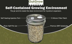 BRF Jars Brown Rice Flour Mushroom Substrate (6 Pack)