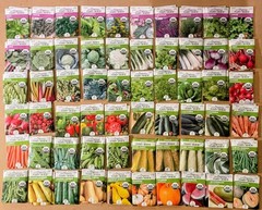 Lot of 120 Ferry Morse Herb and Vegetable seeds . Non Gmo. Dated 2025