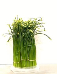 Garlic Chive Seeds, Herb, Allium Tuberosum, Heirloom, NON-GMO, , FREE SHIPPING