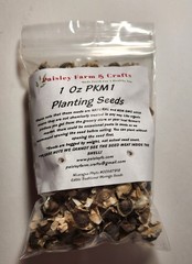 Moringa Oleifera PKM1 Seeds – US Customs Cleared – All Natural!