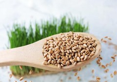 Wheat Berries – Sproutable, Kosher, Raw – by Food To Live