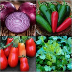 3 different grow your own salsa kits you choose NON-GMO seeds VERY EASY HEALTHY!