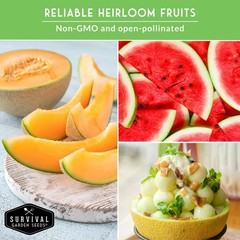 Melon Seeds for Planting Variety Pack – 6 Heirloom Cantaloupe, Honeydew & Wat…