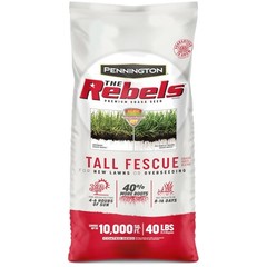 Superior Quality Tall Fescue Grass Seed, 40 lb Bag