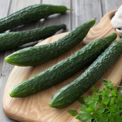 25+ Suyo Long Cucumber Seeds – Heirloom – Non GMO – Organic – Genuine —–RARE