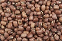 Brown Mung Bean Seeds (40) / Bush Bean / Bean Sprouts / DELICIOUS / Rare