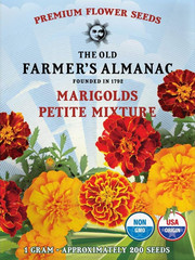 The Old Farmer’s 1 Packet – 1 Gram – Approx 200 Seeds, Orange, Red, Yellow