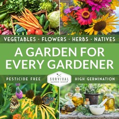 Clover Seed Collection for Planting – 2 Packets of Crimson & Dutch green