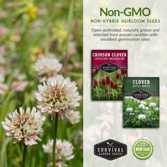 Clover Seed Collection for Planting – 2 Packets of Crimson & Dutch green