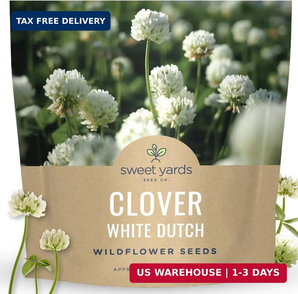 White Dutch Clover – Large 1 Ounce Packet – 40,000 Flower Seeds for Planting – T
