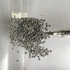 Trifolium fragiferum | Strawberry Clover | Strawberry Headed Clover | 250 Pellet
