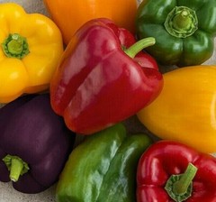 RAINBOW BELL PEPPER SEEDS MIX 30+ RED orange PURPLE yellow WHITE FREE SHIPPING