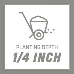 Pennington Contractors Central Zone Grass Seed Mix Sun Partial Shade 20 lb – New