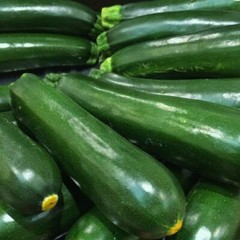 Squash Black Beauty Zucchini Seeds 25 Ct Summer Vegetable NON-GMO FREE SHIPPING