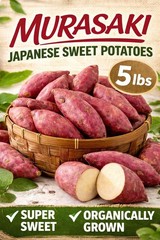 Japanese Murasaki Sweet Potatoes – 5 LB | Red Skin, White Flesh | Premium Tubers