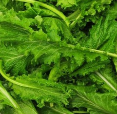 Spicy Brown Mustard Greens Seeds | Brassica Lettuce Collards Green Seed 2024