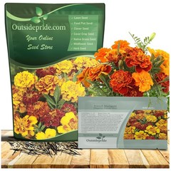 Low Maintenance Garden Marigold Seeds – Pollinator-Friendly