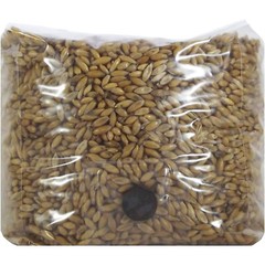 Whole Oats Mushroom Substrate