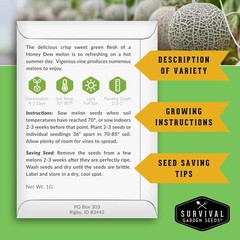 Melon Seeds for Planting Variety Pack – 6 Heirloom Cantaloupe, Honeydew & Wat…