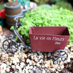 Vintage Rustic Tricycle Planter Miniature Fairy Garden Decor Dollhouse Craft