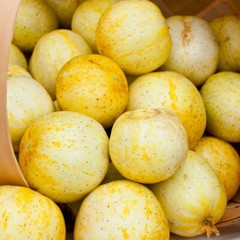 Lemon Cucumber Seeds | 50 Seeds | Non-GMO | Free Shipping | Seed Store | 1059