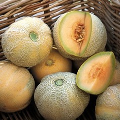 50 Heirloom Minnesota Midget Melon Seeds – Super Sweet – Super Fast Growing!