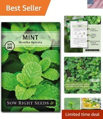 Mint Seeds for Planting – Non GMO Heirloom Perennial Herb for Indoor or Outdo…