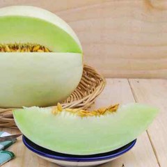 HONEYDEW MELON 5 FRUIT SEEDS FREE USA SHIPPING