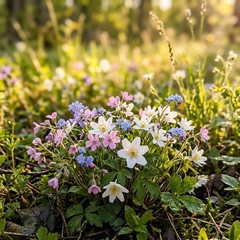 300 Woodland Shade Wildflower Mix Seeds – Premium Bulk Seed Blend for