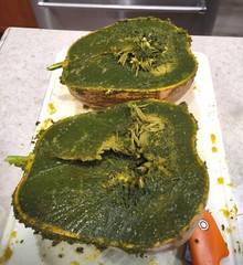Rare Mexican Black Green Flesh Squash 10 Seeds- Calabaza Mexicana, 10 Semillas