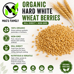 Organic Hard White Wheat Berries Seeds Mill Direct Wheatgrass Sprouting Grain
