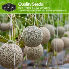 Melon Seeds Variety Pack – 6 Heirloom Cantaloupe, Honeydew & Watermelon Types fo