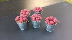 5 Pack Raspberries in Small Metal Pots Red/Green Doll Or Barnie Accessories?