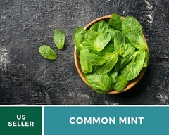 Mint, Common – Heirloom Seeds – Medicinal & Culinary Herb – GMO Free (Mentha spp
