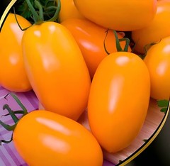 100 Heirloom Orange Roma Tomato Seeds 8oz Extra Sweet LOW Acid Semi-Determinate