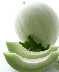 100 Melon Seeds – Honeydew – Green Flesh| NON-GMO