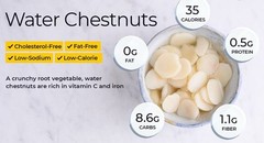5Pcs Sprouted Water Chestnut Eleocharis Dulcis Ready to Plant