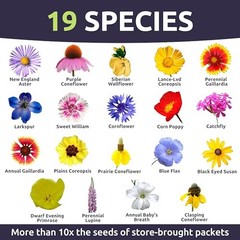– Large 1 Ounce Packet – 15,000 Flower 1 Ounce (Pack of 1) Midwest Regional Mix