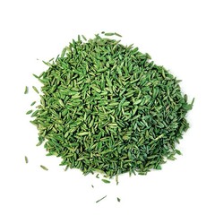 Expert Gardener Sun & Shade Southern Grass Seed Mix Sun to Partial Shade 20 lb