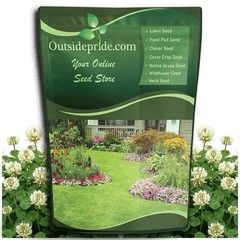 Outsidepride Perennial White Dutch Clover Seed – 2 lbs. 2 lb., Green,White